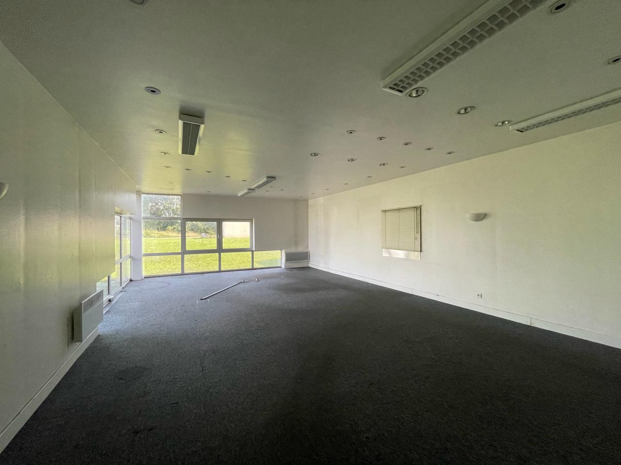 Local d'activité Erstein 1690m² Location local d'activité Erstein Bas-Rhin OLACT2313692 13